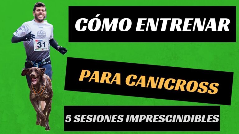 Plan de entrenamiento canicross