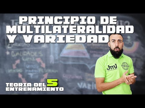 Principio de multilateralidad en el entrenamiento deportivo
